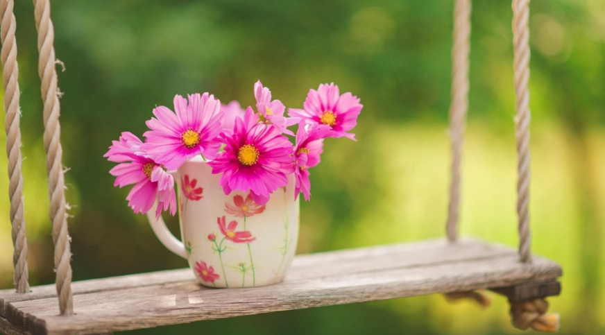 A beautiful display of pink flowers in a floral cup, resting on a wooden swing, symbolizing the vibrant essence of the Spring Collection. Perfect for showcasing the spirit of the Spring 2025 Collection by Blooming Violets.