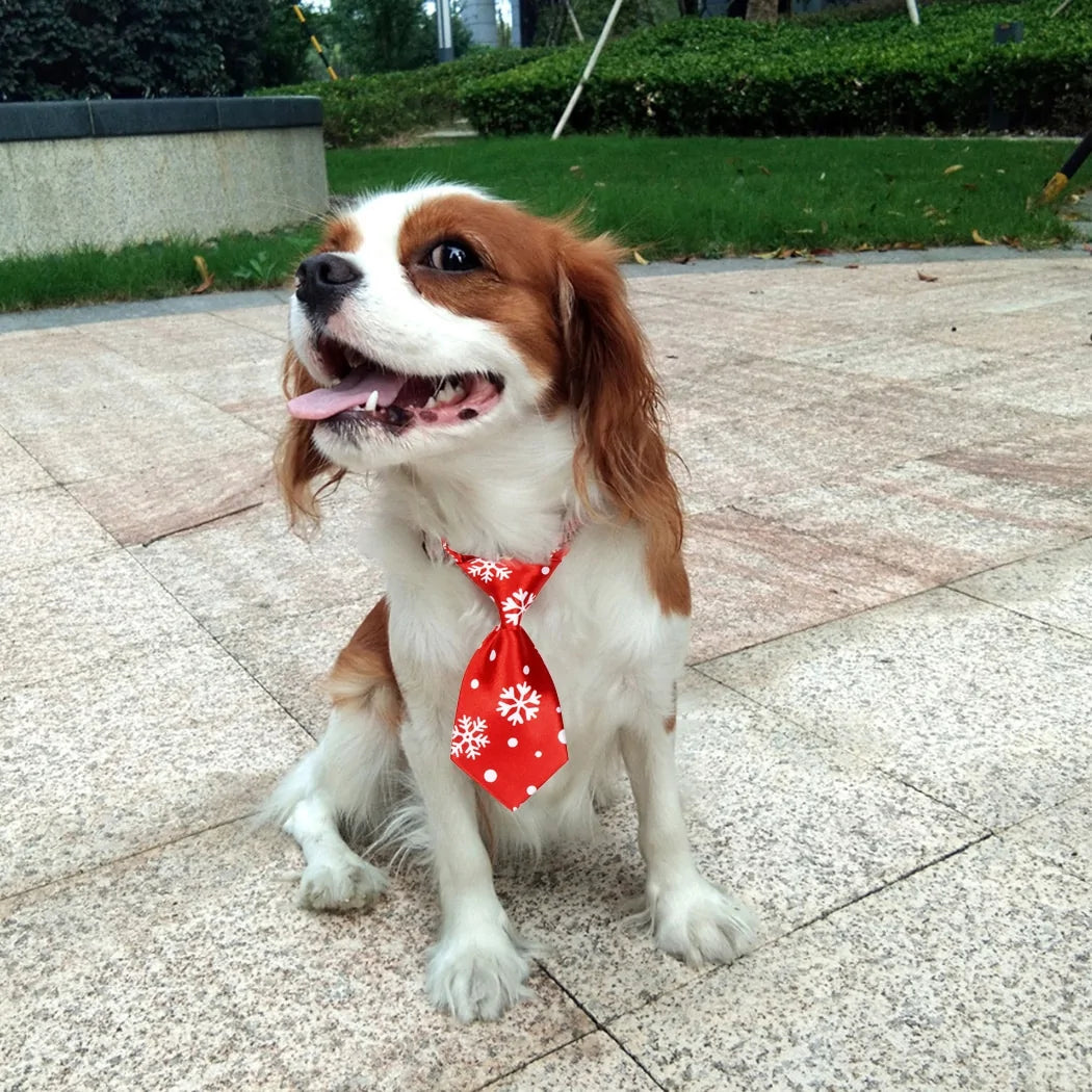 a brown and white dog wearing a red tie